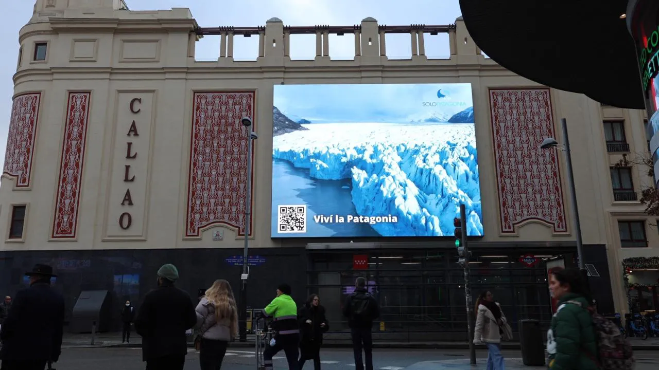 WhatsApp Image 2026-01-24 at 12.37.21