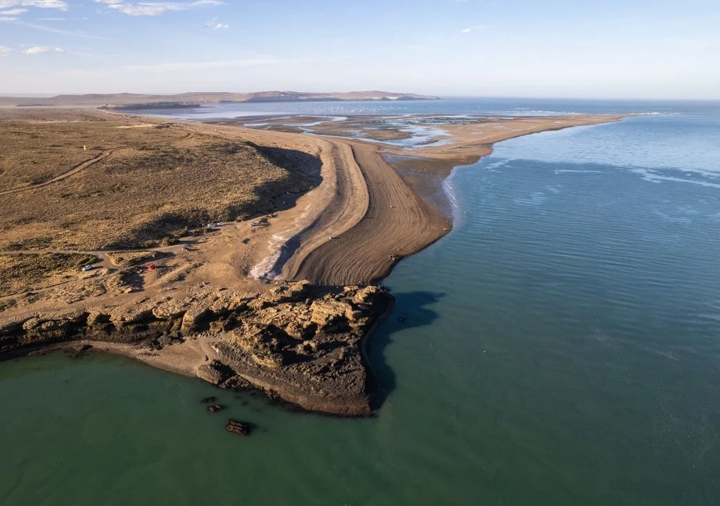 santa-cruz-y-chubut-impulsan-una-industria-de-us-17-000-millones-asi-crece-el-cultivo-de-macroalgas-en-argentina-1779853746857_1024